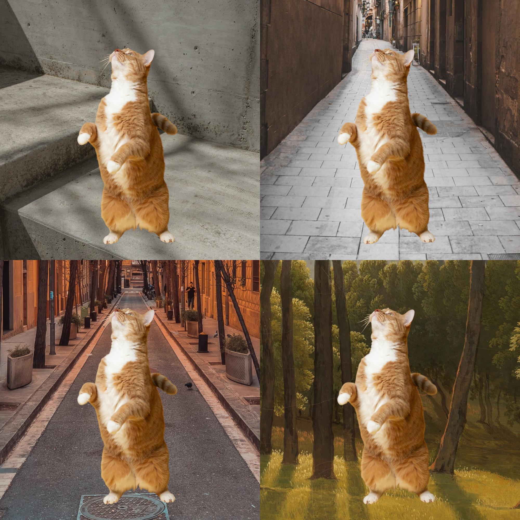 Endless possibilities